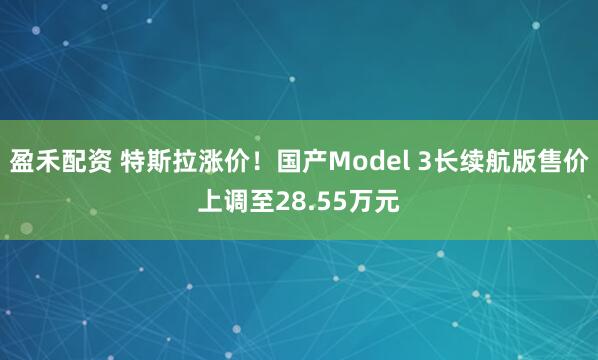 盈禾配资 特斯拉涨价！国产Model 3长续航版售价上调至28.55万元