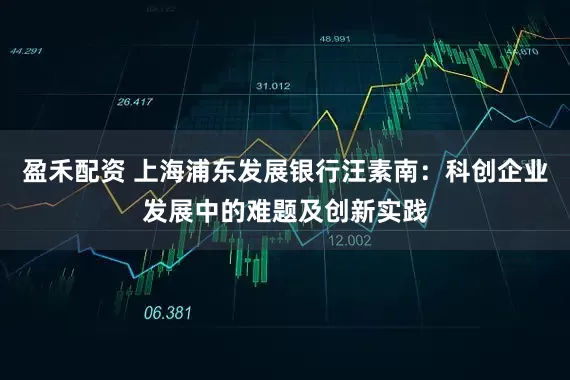 盈禾配资 上海浦东发展银行汪素南：科创企业发展中的难题及创新实践