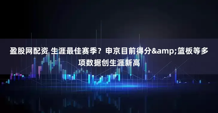 盈股网配资 生涯最佳赛季？申京目前得分&篮板等多项数据创生涯新高